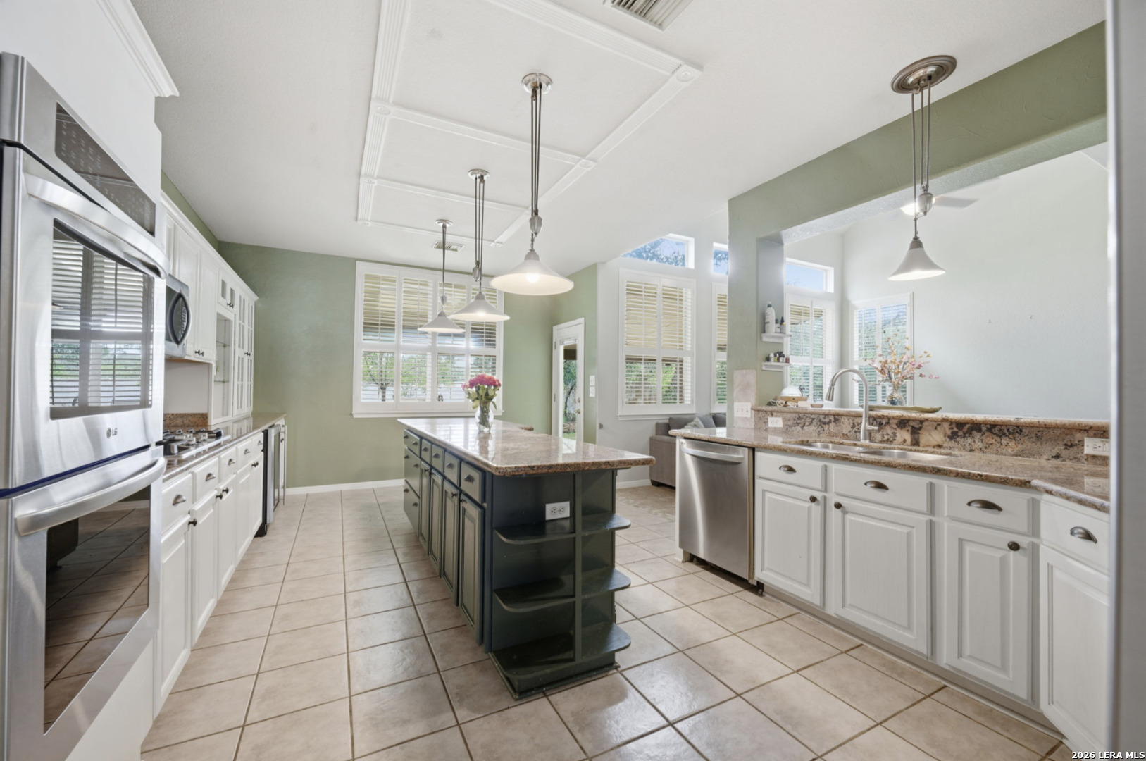 20514 Wild Springs Drive San Antonio TX 78258