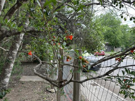 833 Gladstone San Antonio TX 78225