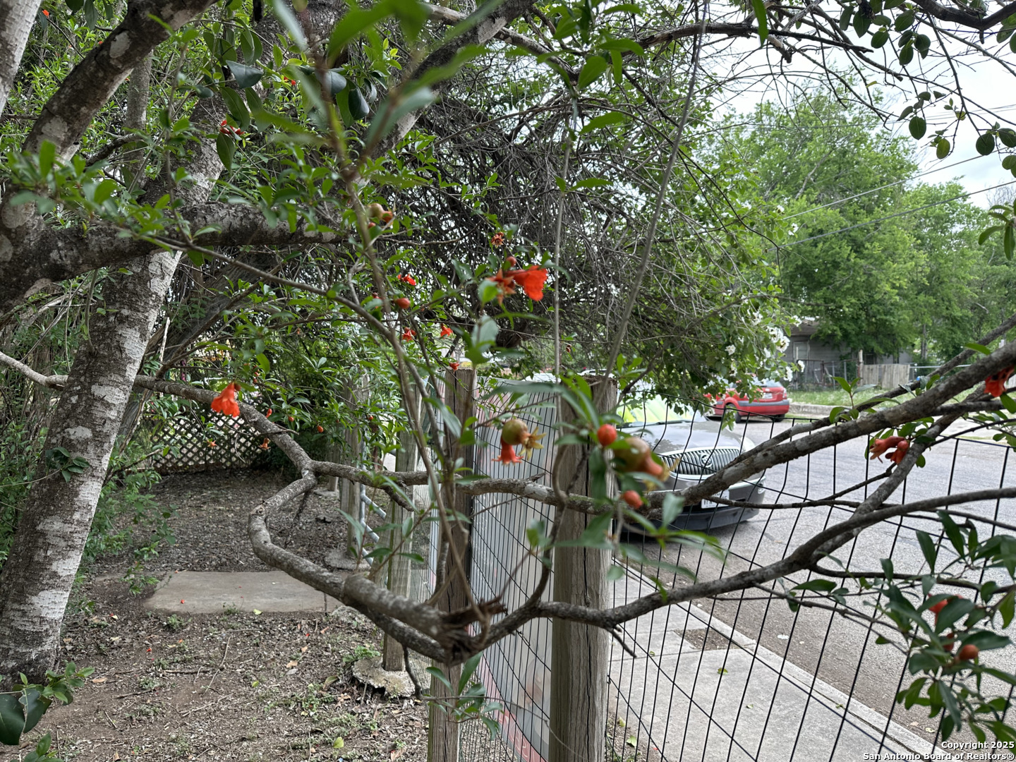 833 Gladstone San Antonio TX 78225