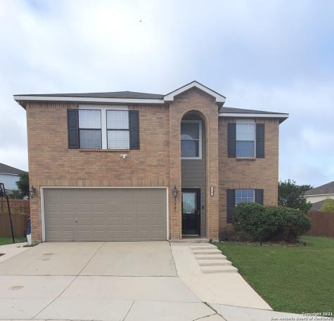 13307 Hampton Dale Shavano Park TX 78249