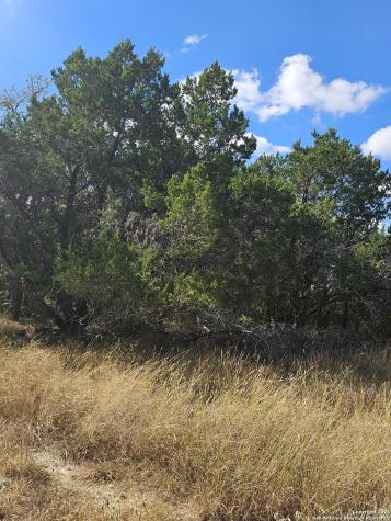 1645 Whispering Hills Canyon Lake TX 78133