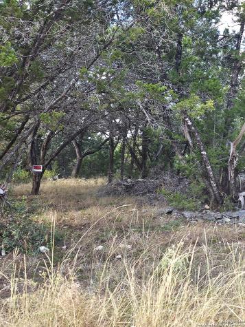 1645 Whispering Hills Canyon Lake TX 78133