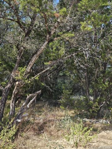 1645 Whispering Hills Canyon Lake TX 78133