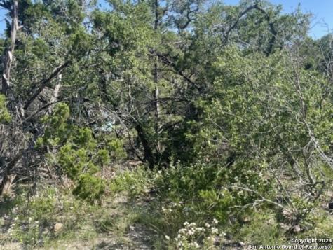 00 Tbd Spring Branch TX 78070
