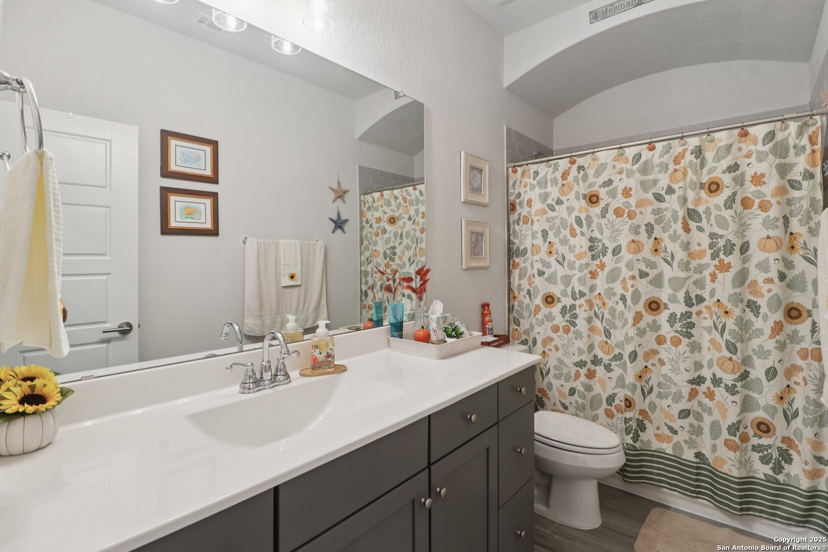 12550 Silver Gate San Antonio TX 78254