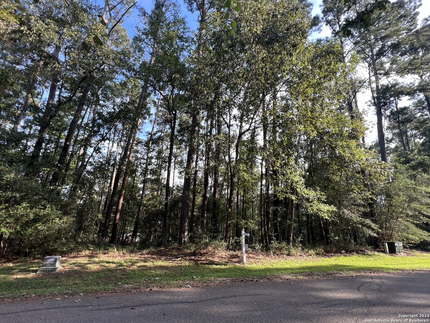 91 Twinstone Circle Coldspring TX 77331