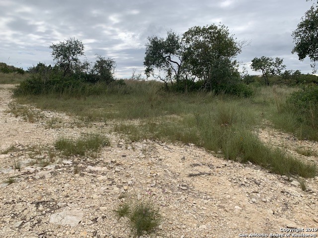 Lot 37 Homestead Mesa San Antonio TX 78255