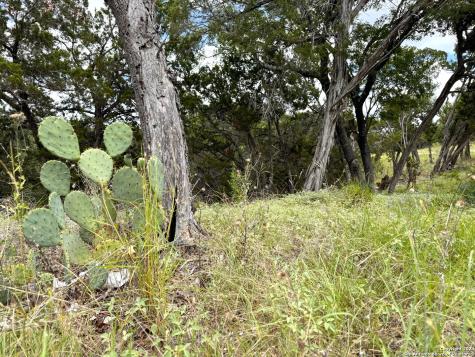 1220 Lakeside Drive Canyon Lake TX 78133