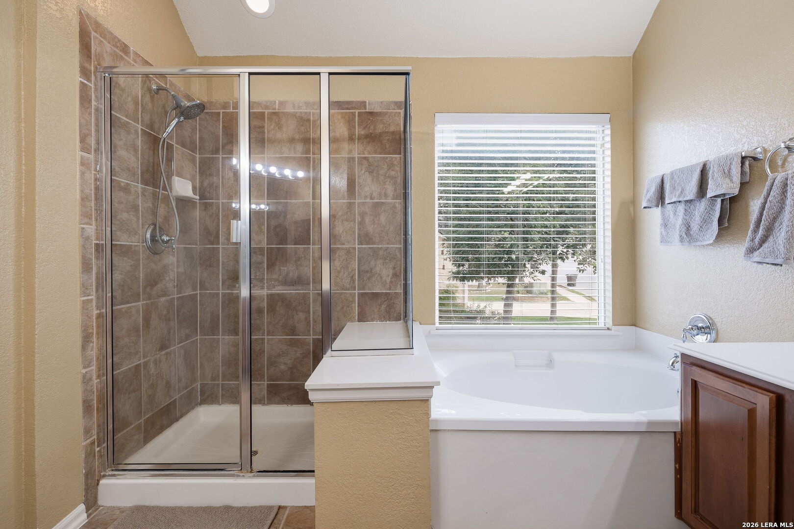 21811 Dolomite San Antonio TX 78259
