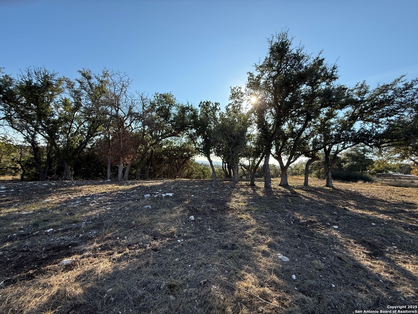 659 Butler Oaks Bulverde TX 78163