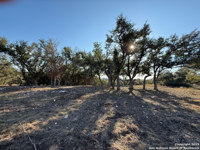 659 Butler Oaks Bulverde TX 78163