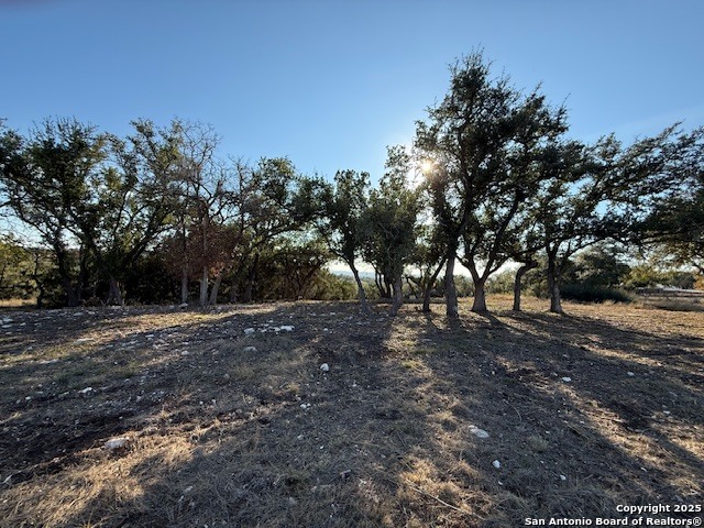 659 Butler Oaks Bulverde TX 78163