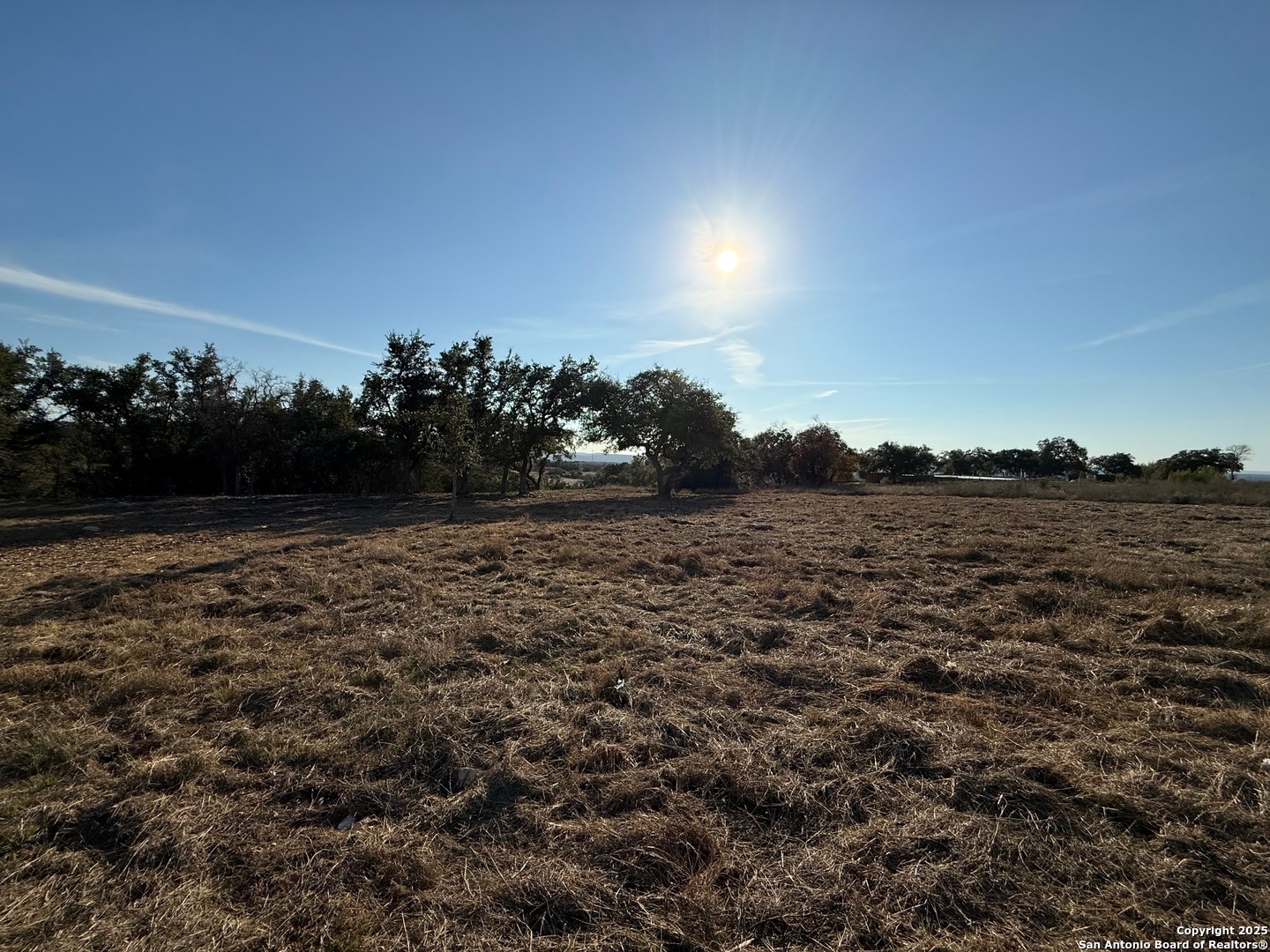 659 Butler Oaks Bulverde TX 78163