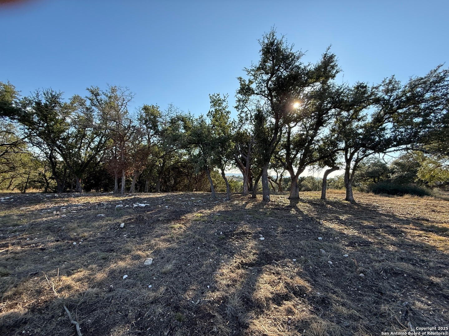 659 Butler Oaks Bulverde TX 78163