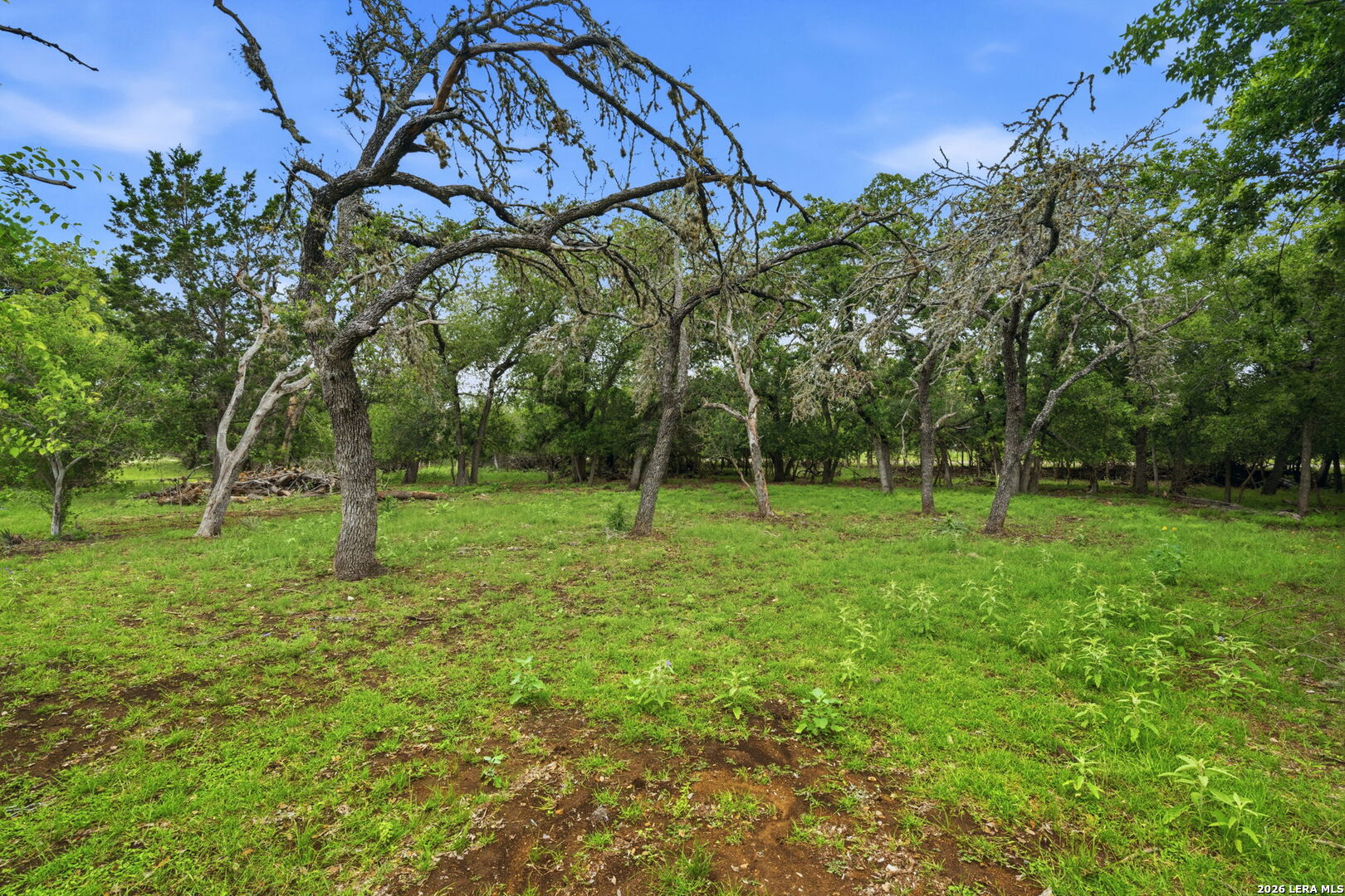 340 Rio Oak Pipe Creek TX 78063