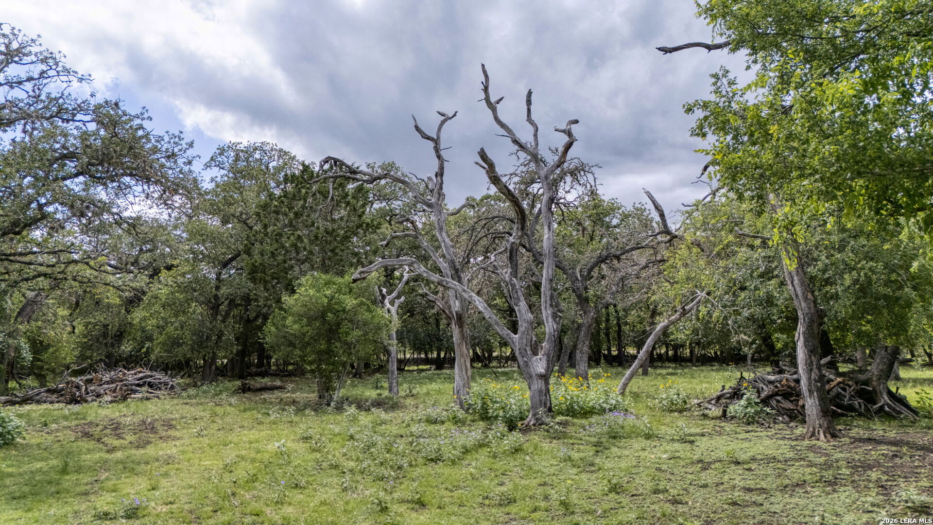 340 Rio Oak Pipe Creek TX 78063