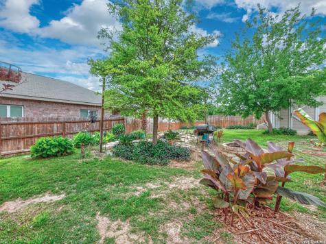 11310 White Tip San Antonio TX 78245