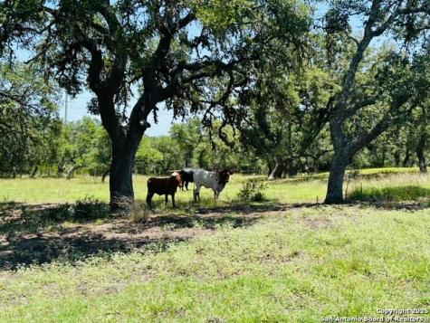 222 State Highway 46 E Boerne TX 78006