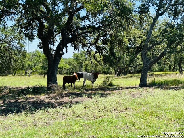 222 State Highway 46 E Boerne TX 78006
