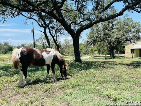 222 State Highway 46 E Boerne TX 78006