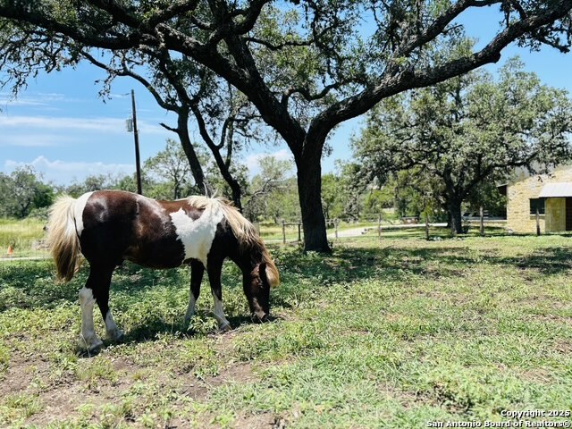 222 State Highway 46 E Boerne TX 78006