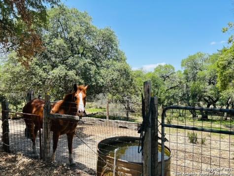222 State Highway 46 E Boerne TX 78006