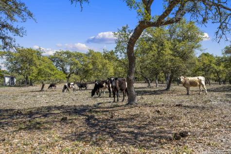 222 State Highway 46 E Boerne TX 78006