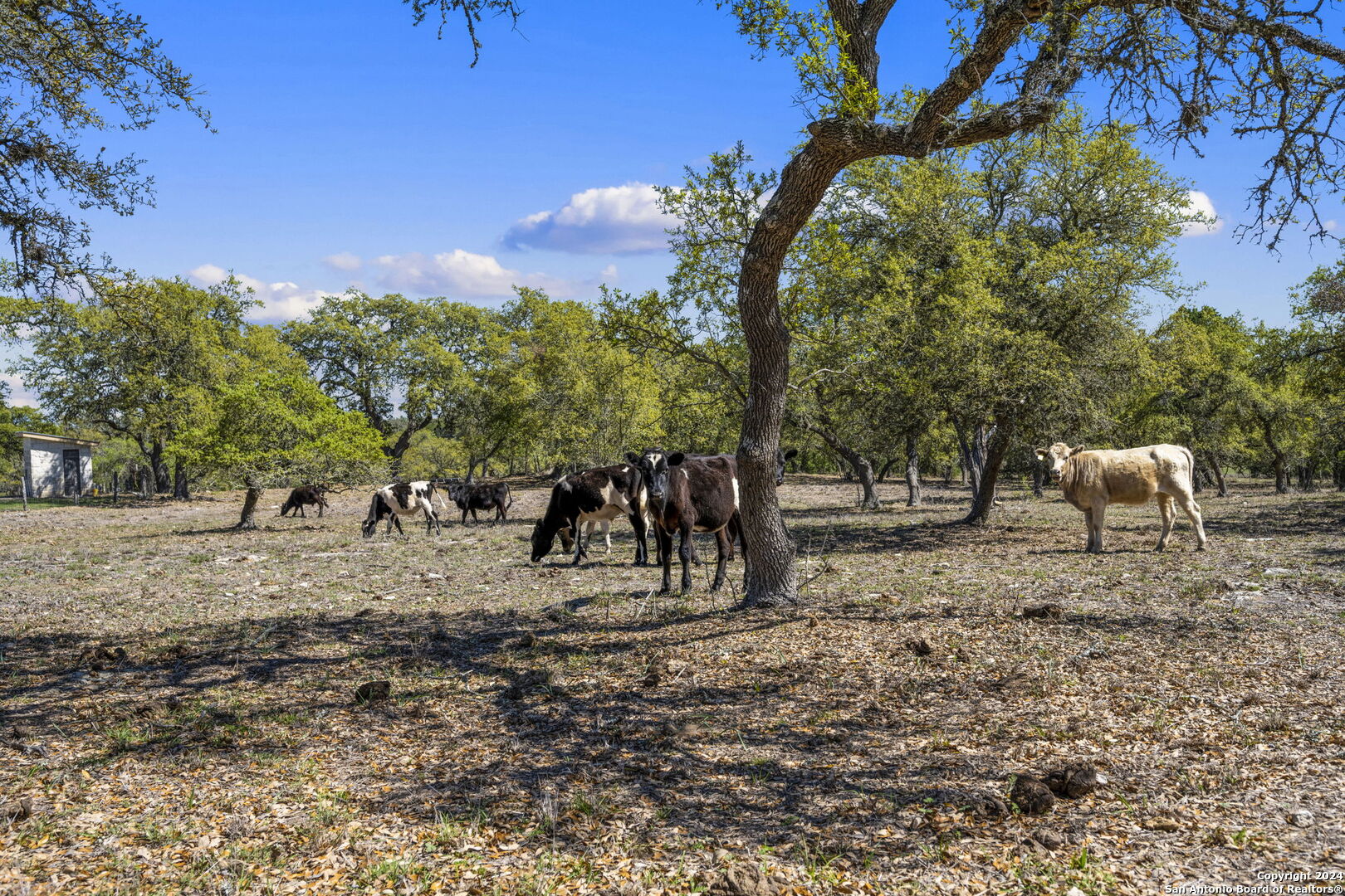 222 State Highway 46 E Boerne TX 78006