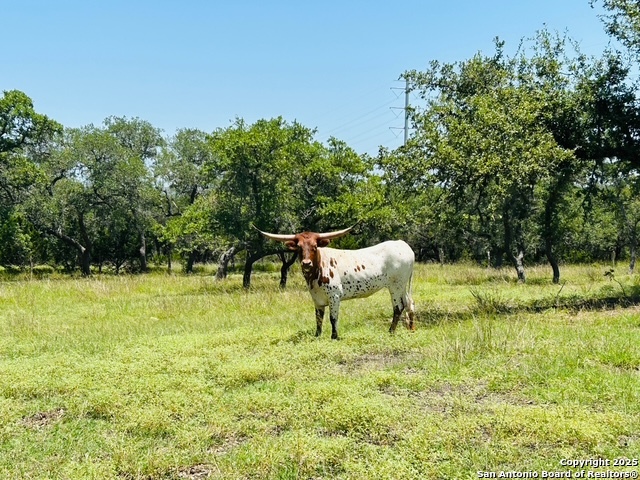222 State Highway 46 E Boerne TX 78006