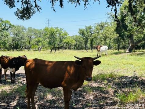 222 State Highway 46 E Boerne TX 78006