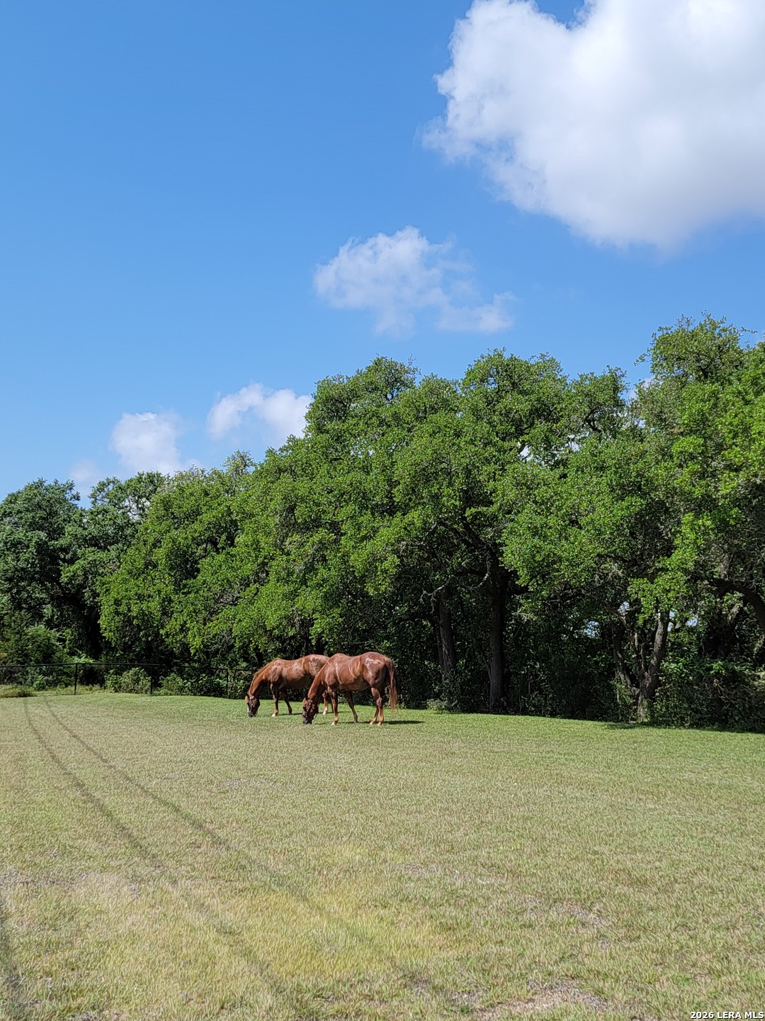 1041 Mystic Breeze Spring Branch TX 78070