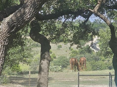 1041 Mystic Breeze Spring Branch TX 78070