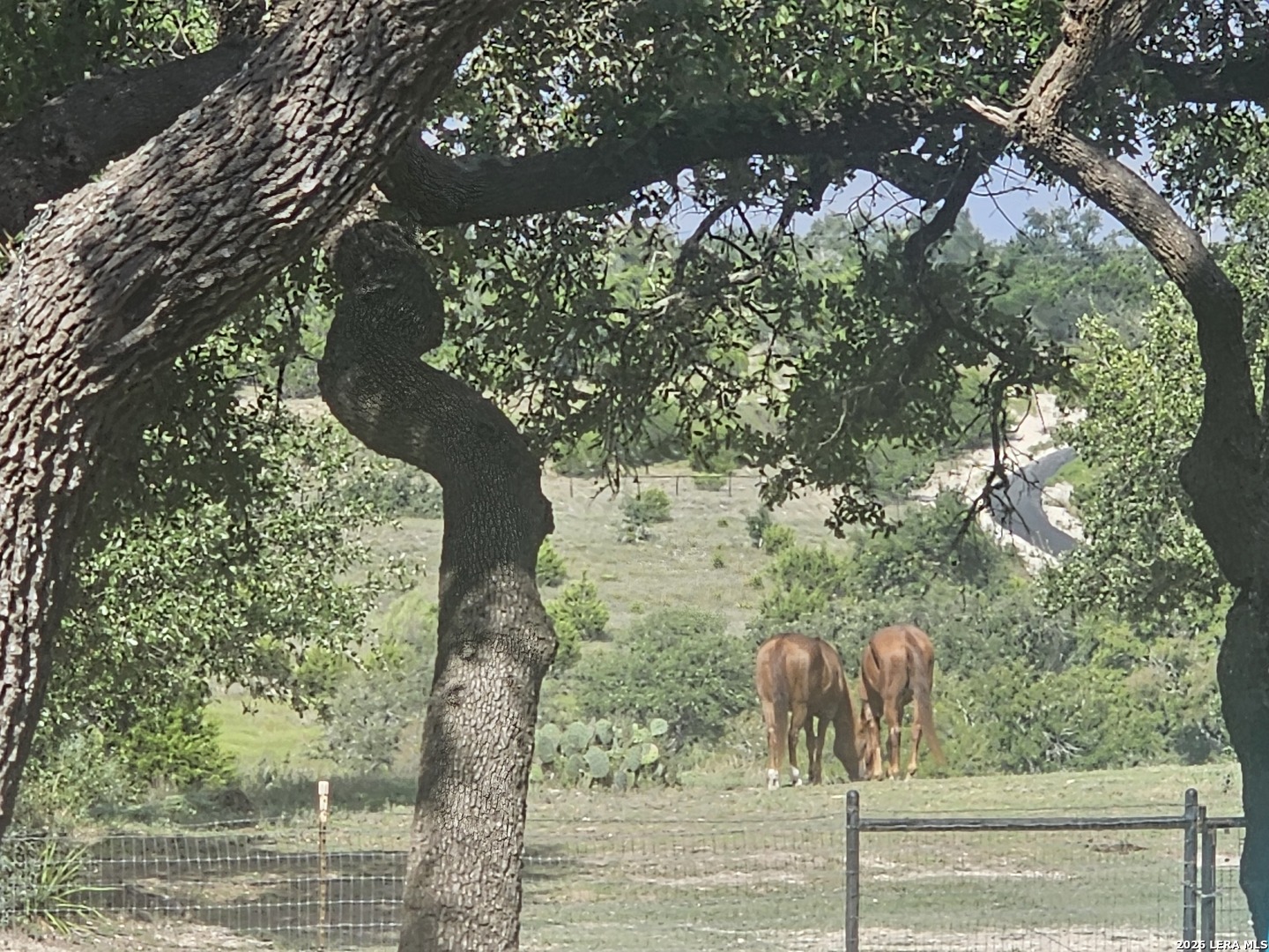1041 Mystic Breeze Spring Branch TX 78070