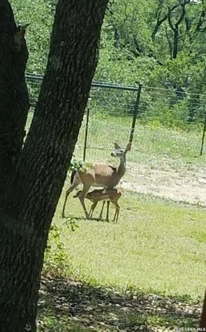 1041 Mystic Breeze Spring Branch TX 78070