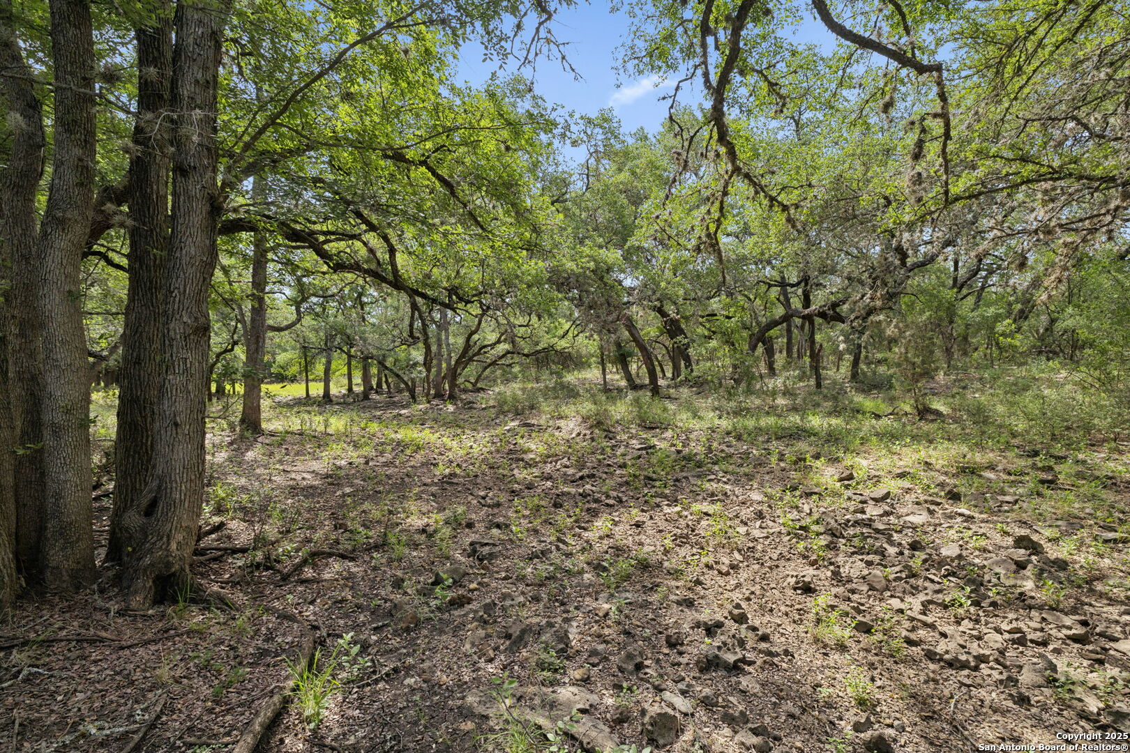 547 County Road 3401 Hondo TX 78861