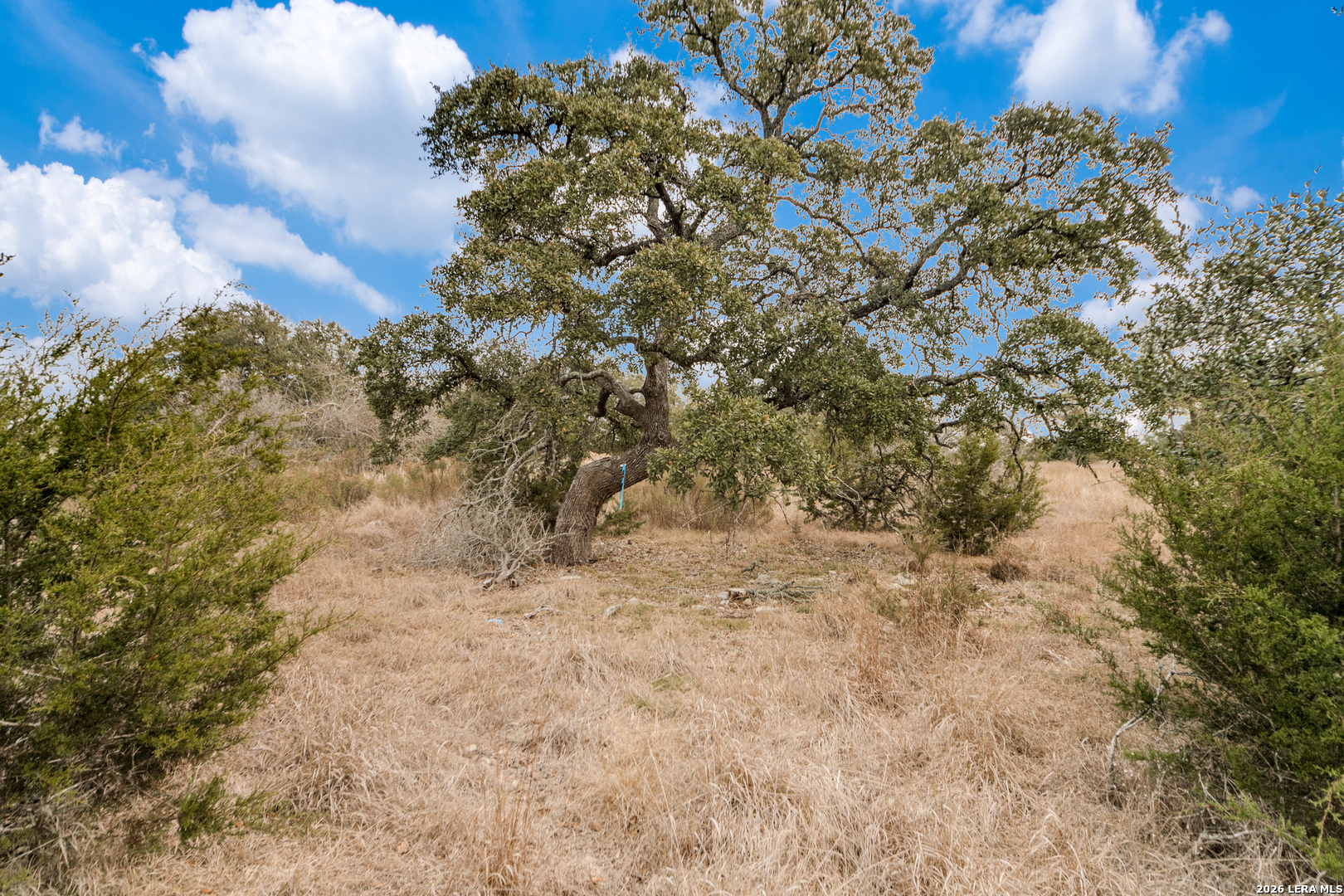 Lot 13 Cordillera Ridge Boerne TX 78006
