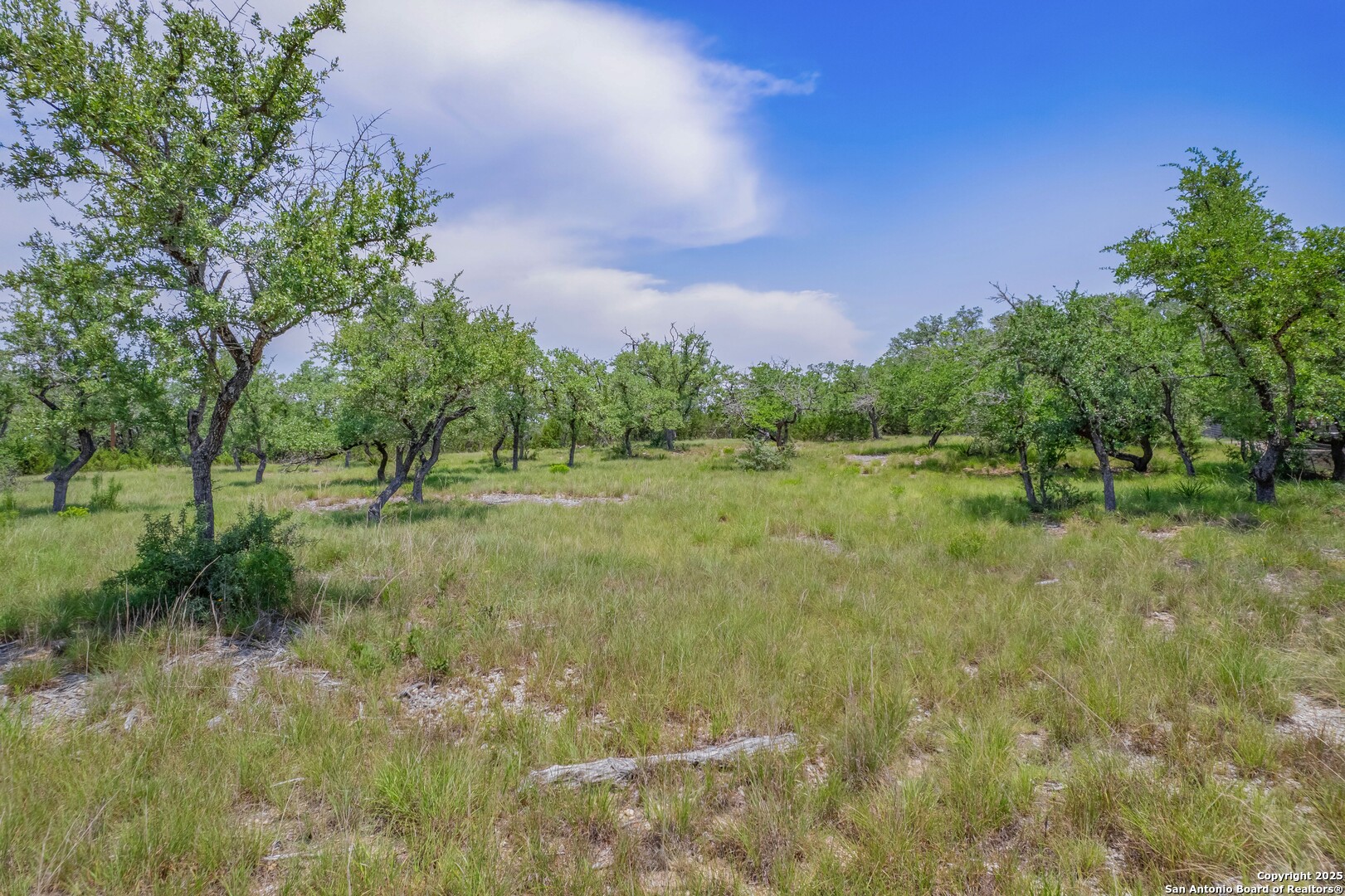 1552 Lake Ridge Boulevard Canyon Lake TX 78133