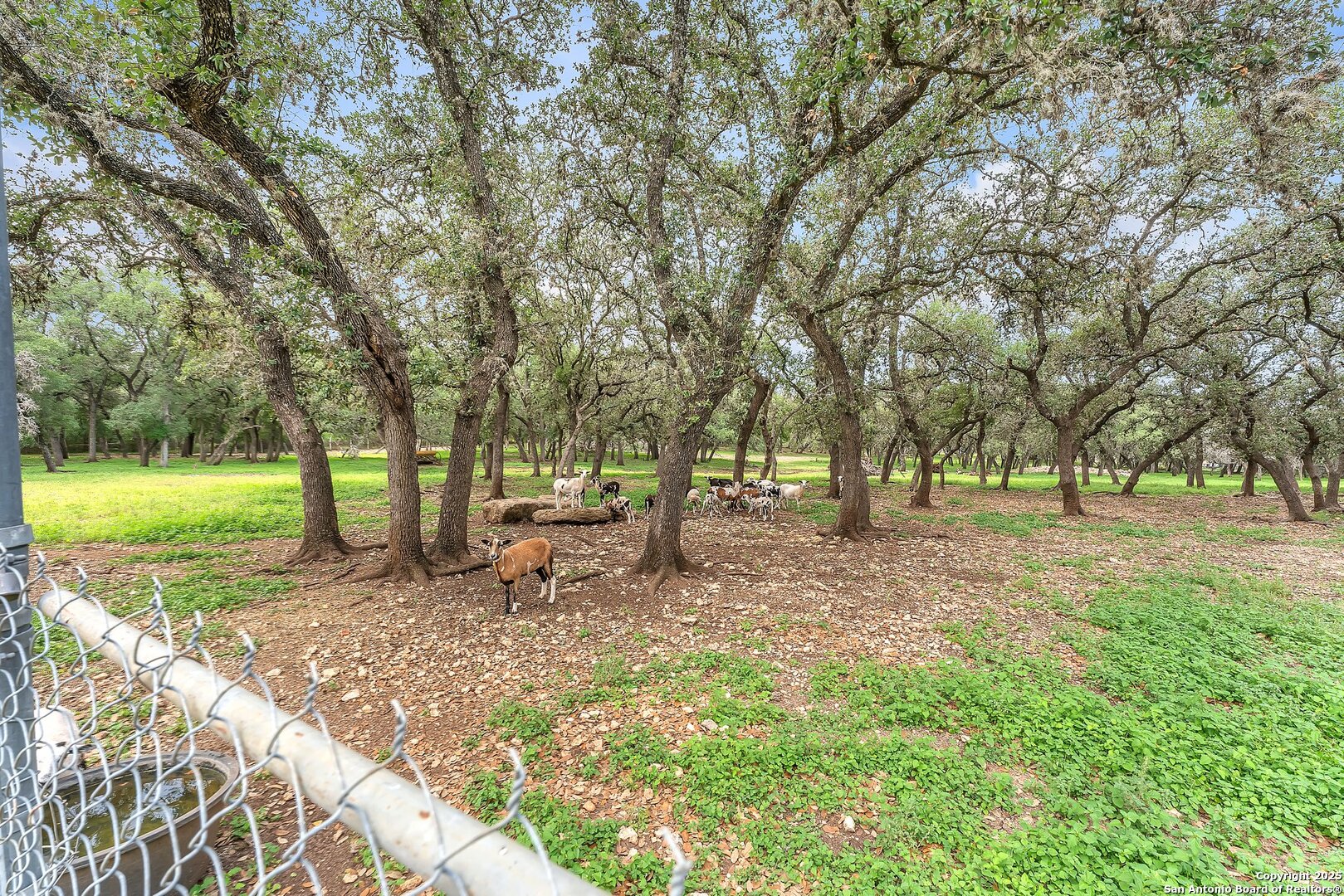 11650 Sunset Ranch Helotes TX 78023