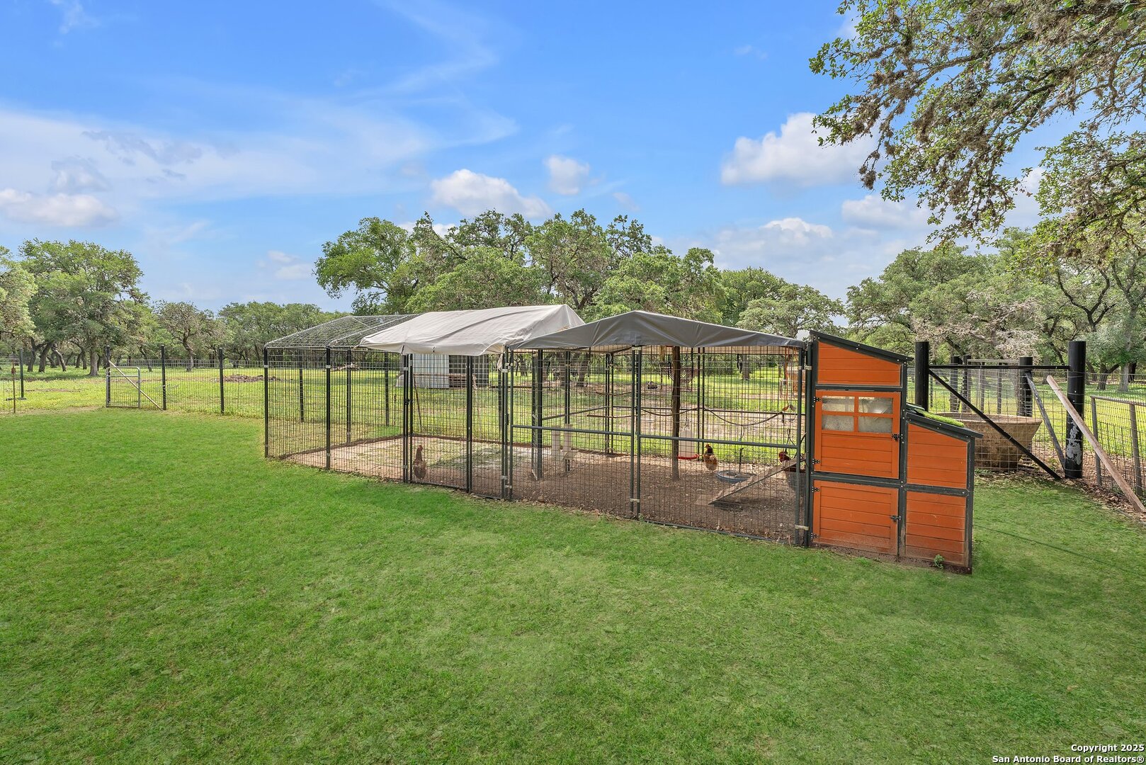 11650 Sunset Ranch Helotes TX 78023