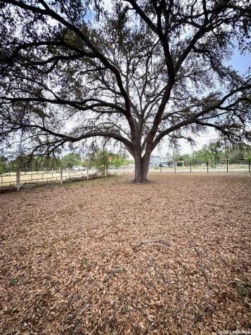 6565 Whitby Road San Antonio TX 78240