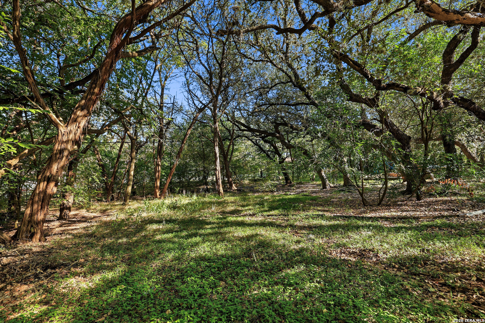 15610 Chinquapin Helotes TX 78023
