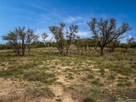 Lot 66 Majestic Hills Drive Blanco TX 78606