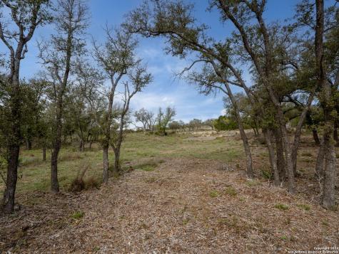 Lot 66 Majestic Hills Drive Blanco TX 78606