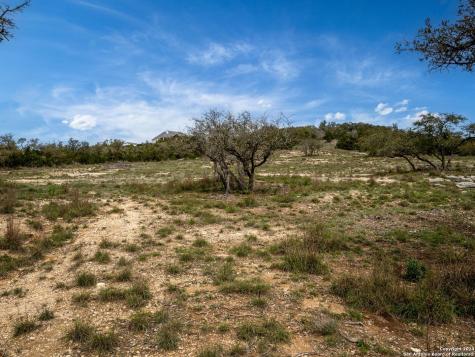 Lot 66 Majestic Hills Drive Blanco TX 78606