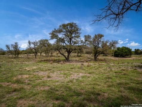 Lot 66 Majestic Hills Drive Blanco TX 78606