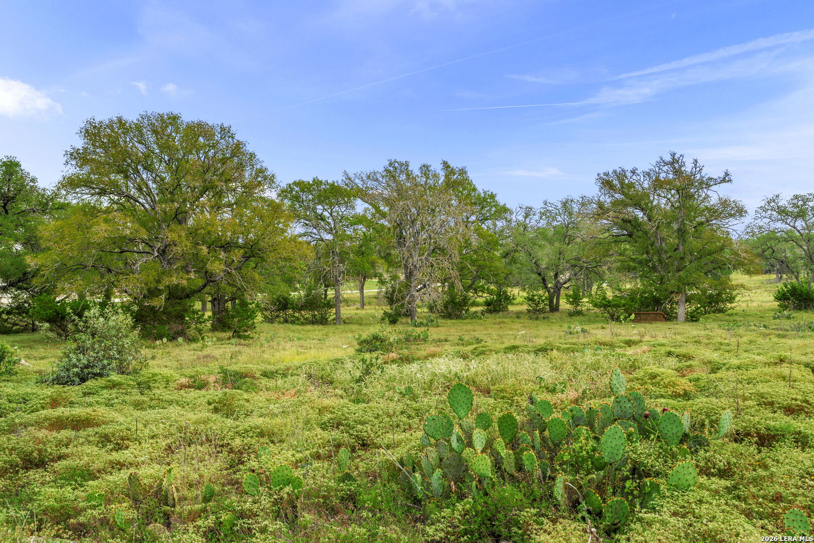 322 Axis Circle Fredericksburg TX 78624