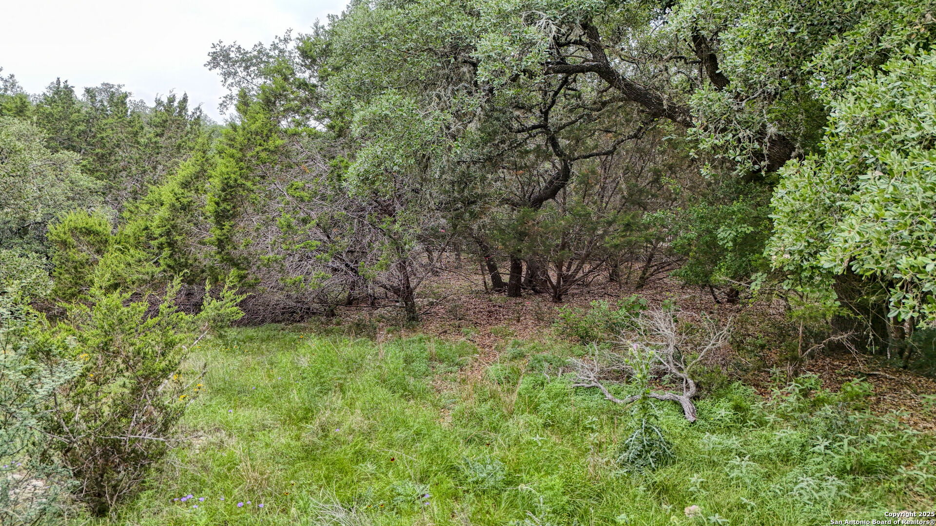 8040 Colonial Woods Boerne TX 78015