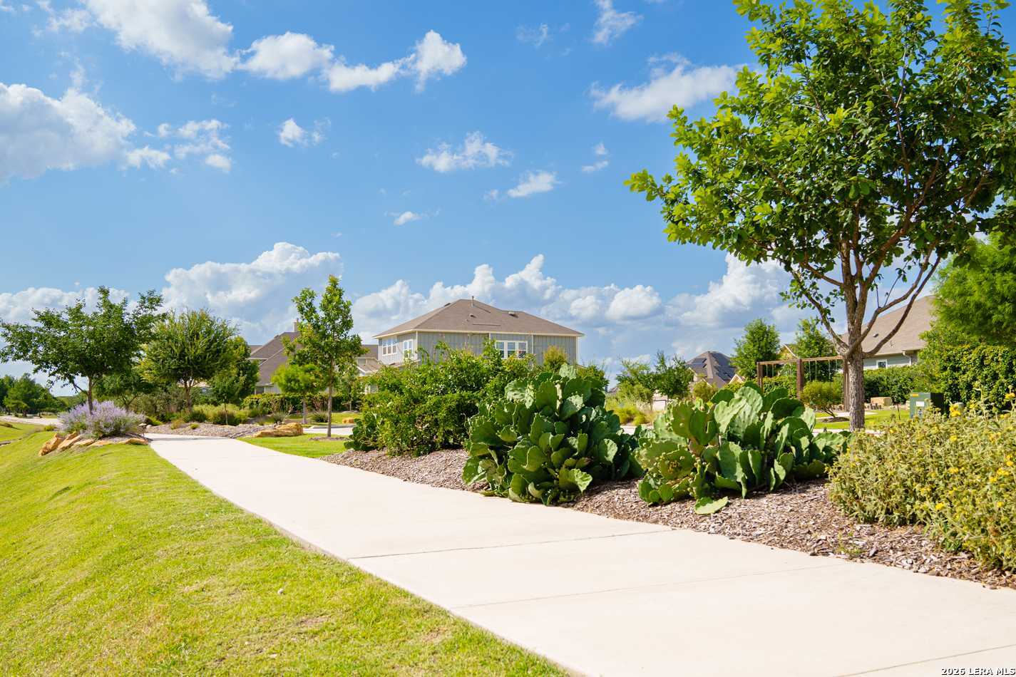 12363 Lost Petal Schertz TX 78154