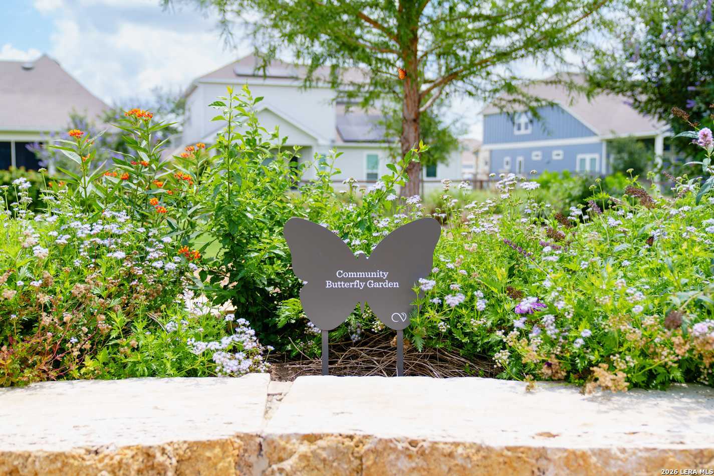 12363 Lost Petal Schertz TX 78154