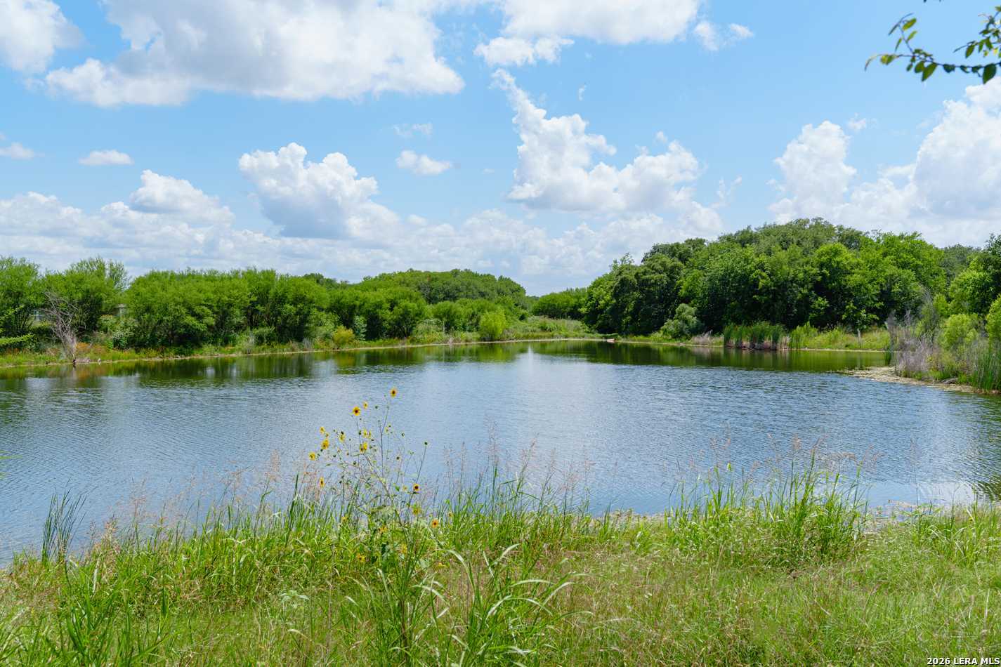 12363 Lost Petal Schertz TX 78154